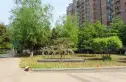 远大园五区实景图